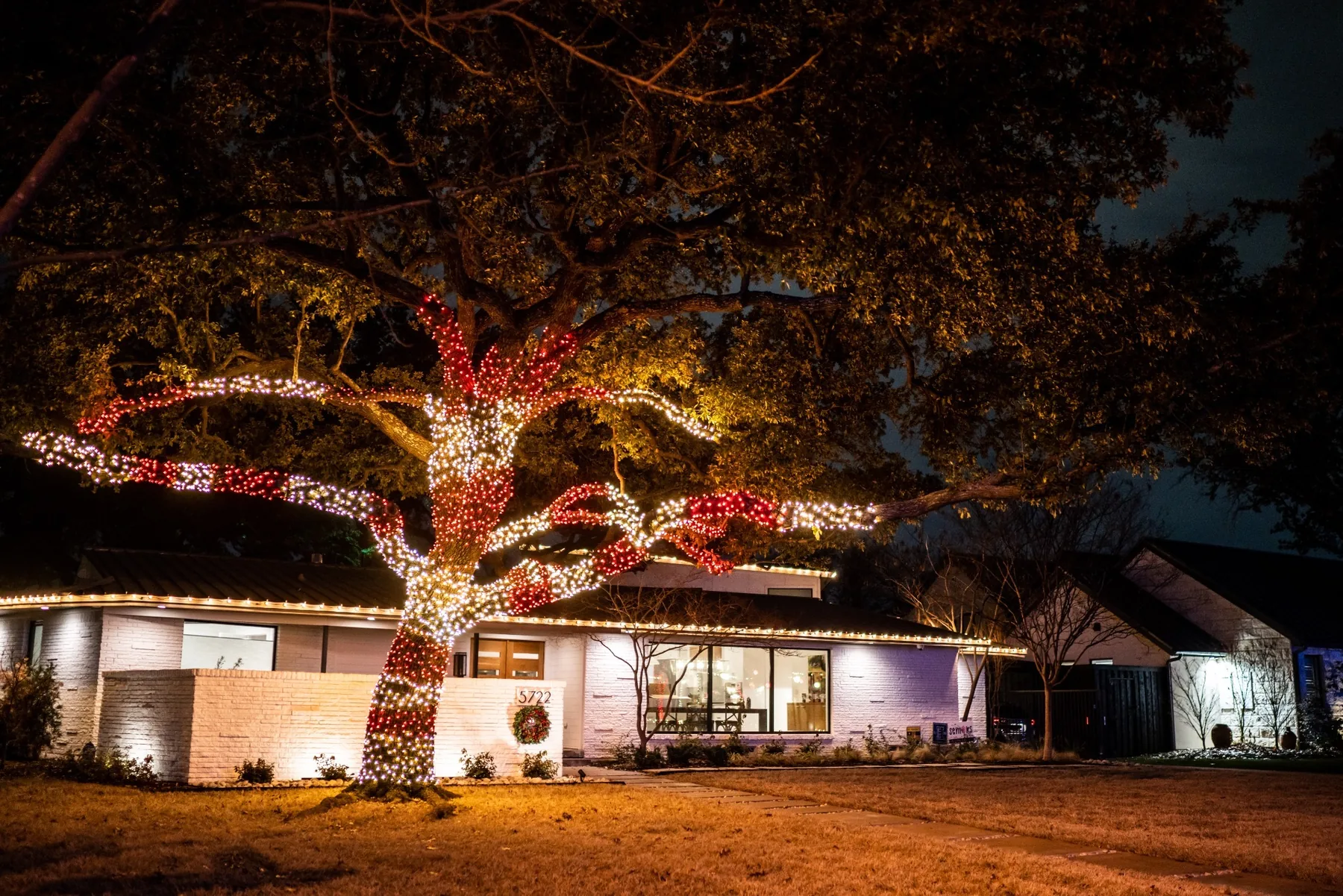Red and warm white wrapped oak tree lighting on a luxury residence
